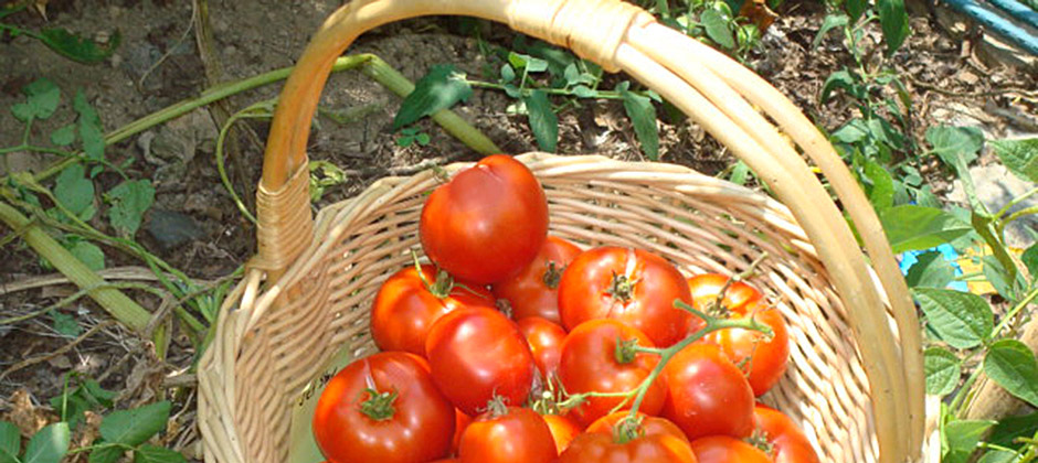 slide_3_edible_landscapes